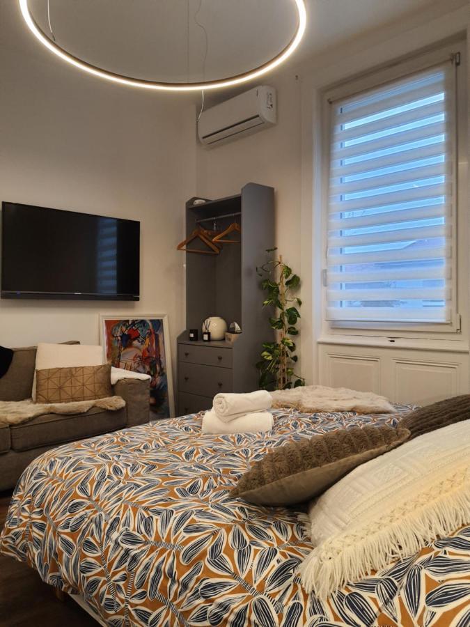 Hote Stephanois Studio, Parking& Borne Electrique 생테티엔 외부 사진