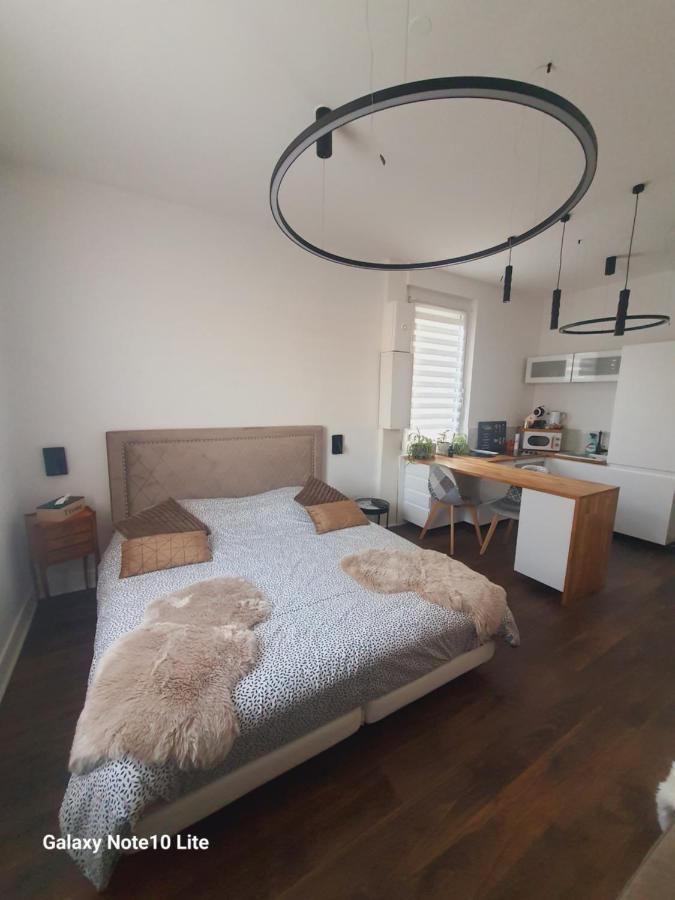 Hote Stephanois Studio, Parking& Borne Electrique 생테티엔 외부 사진