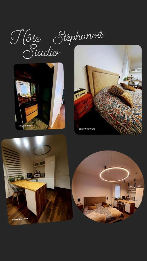 Hote Stephanois Studio, Parking& Borne Electrique 생테티엔 외부 사진