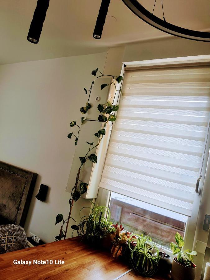 Hote Stephanois Studio, Parking& Borne Electrique 생테티엔 외부 사진
